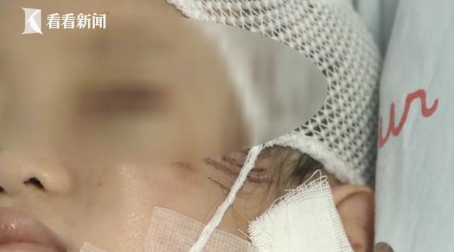 哈士奇突然扑向三个孩子,妈妈用身体去挡也被咬伤!狗主人就站在一旁……休闲区蓝鸢梦想 - Www.slyday.coM 哈士奇突然扑向三个孩子,妈妈用身体去挡也被咬伤!狗主人就站在一旁……休闲区蓝鸢梦想 - Www.slyday.coM