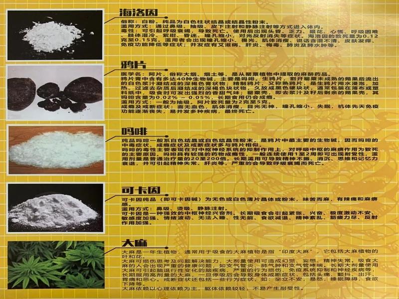 626国际禁毒日将禁毒进行到底