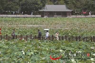 南社明清古村落、岭南名园可园…… 趁假期轻松打卡莞邑五大网红景点