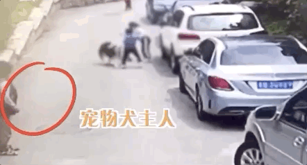 哈士奇突然扑向三个孩子,妈妈用身体去挡也被咬伤!狗主人就站在一旁……休闲区蓝鸢梦想 - Www.slyday.coM 哈士奇突然扑向三个孩子,妈妈用身体去挡也被咬伤!狗主人就站在一旁……休闲区蓝鸢梦想 - Www.slyday.coM