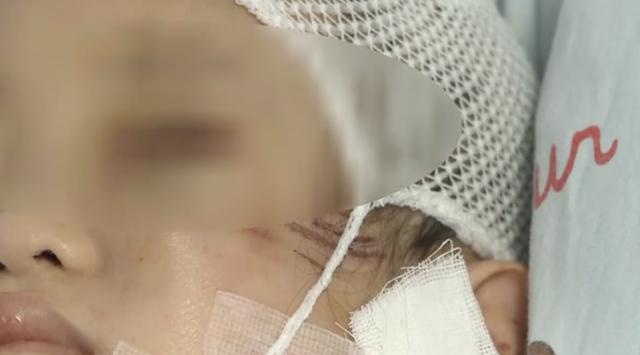 哈士奇突然扑向三个孩子,妈妈用身体挡也被咬伤!狗主人站一旁休闲区蓝鸢梦想 - Www.slyday.coM 哈士奇突然扑向三个孩子,妈妈用身体挡也被咬伤!狗主人站一旁休闲区蓝鸢梦想 - Www.slyday.coM