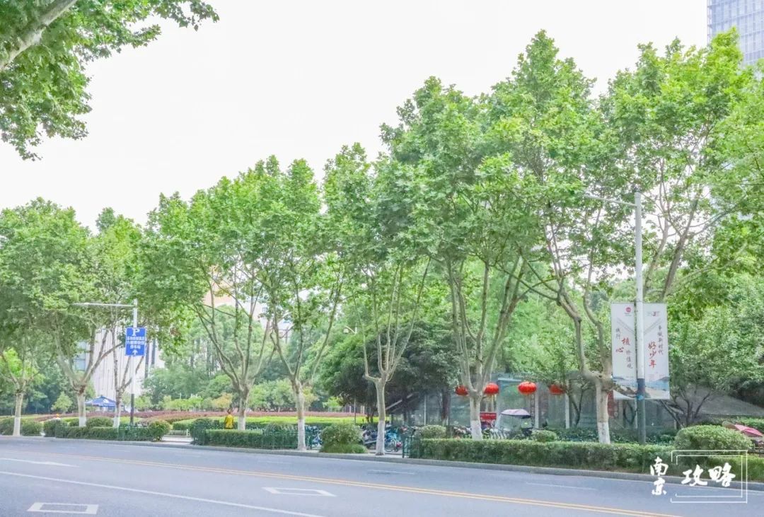 走,去长江路!用N+1种方式认识南京城!