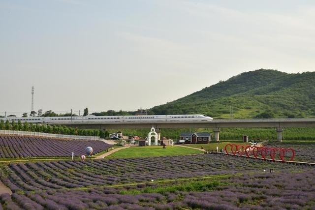 直播杭州|“商合杭”今起全线通车!豫皖浙三省高铁“无缝对接”,安吉首通高铁