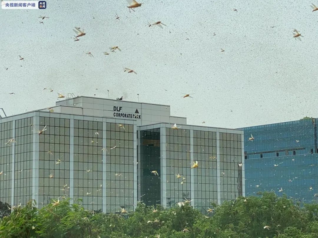 密密麻麻！这个邻国首都已高度警戒