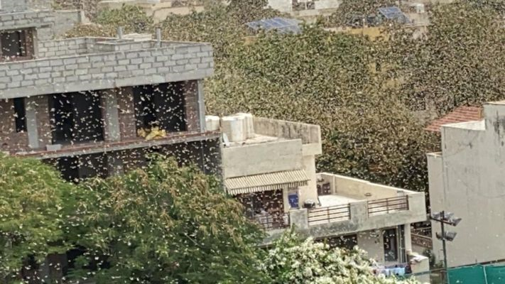 密密麻麻！这个邻国首都已高度警戒