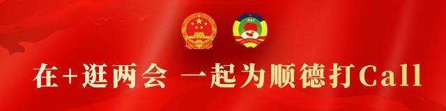 两会快讯|顺德法院:全力打造审判体系和审判能力现代化样本