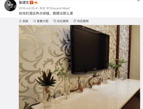 拍戏住酒店里,用矿泉水瓶养花