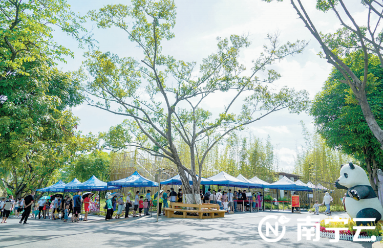 在南宁市动物园,游客有序排队进入大熊猫苑,文明旅游成为一道靓丽的风景。记者叶子榕 摄