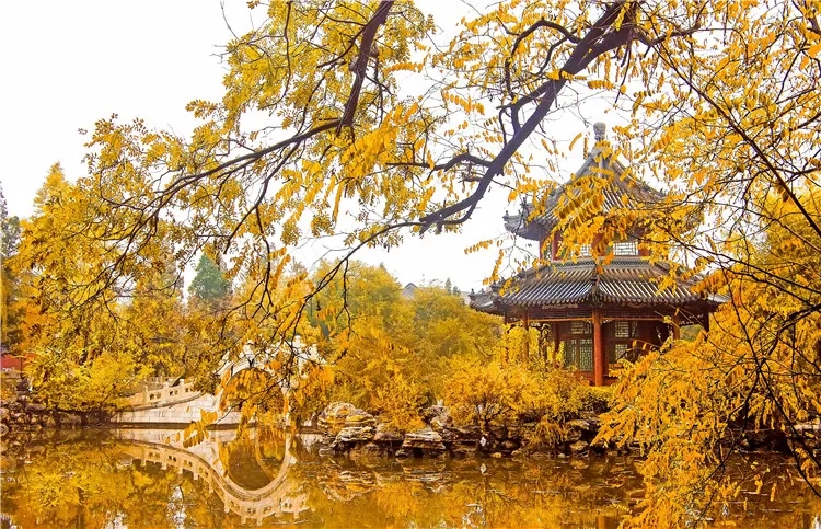 中国最美十大名园之一!就在咱河北!它曾是“清末全国书院之冠”!