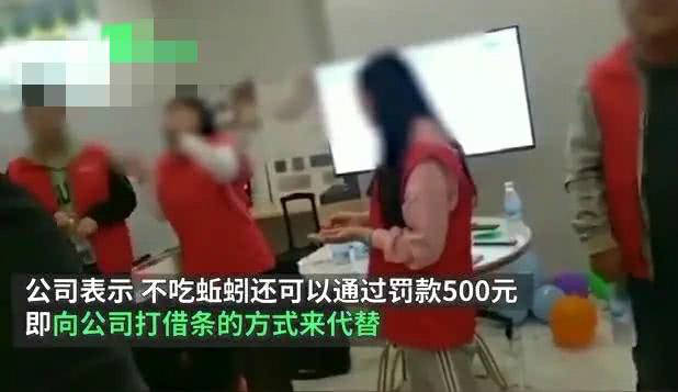 罚员工活吃蚯蚓 有毒的“狼性文化”体罚涉嫌违法