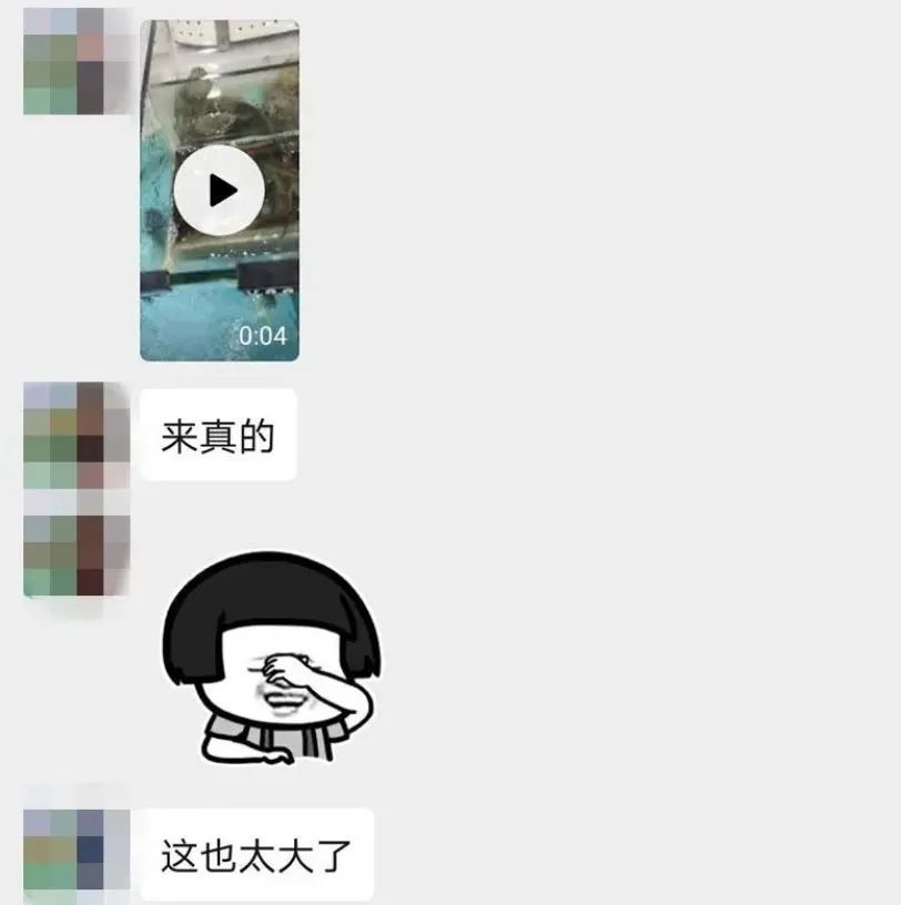 业绩不达标,公司罚员工吃蚯蚓、吞泥鳅…