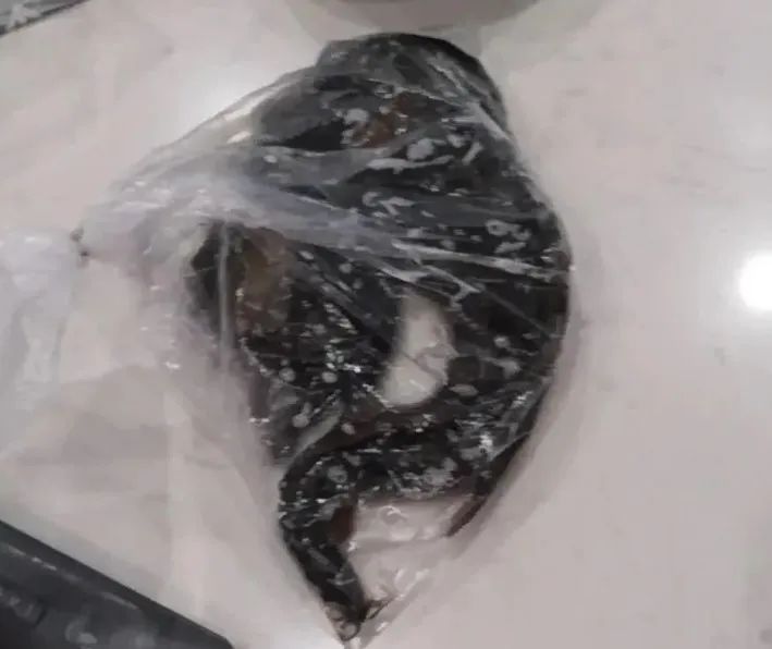 业绩不达标,公司罚员工吃蚯蚓、吞泥鳅…