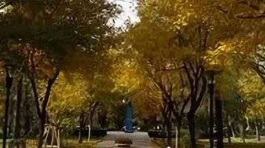立秋 (诗歌)