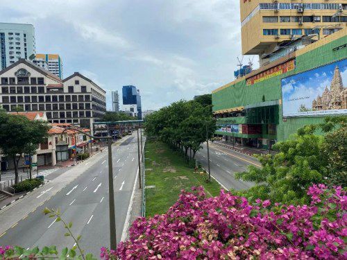 疫情之下,海外华人旅游业者路在何方?