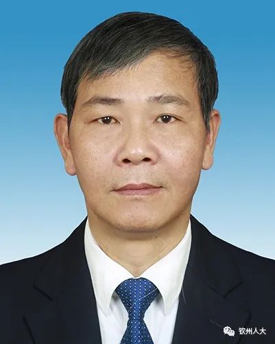 广西多地副市长履新!涉及柳州、桂林、钦州、贺州等地