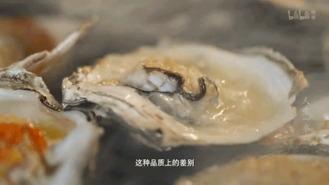 图/《人生一串》