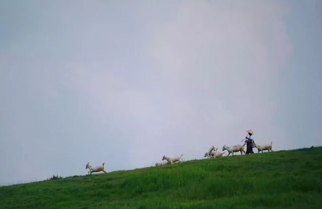 这才是7月南京人值得去的16个地方,用一场旅行,开启美好的下半年…