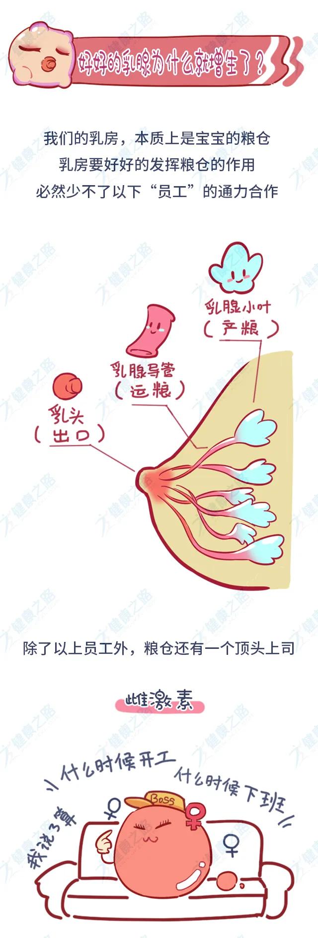 得了乳腺增生,一定不要自己吓自己,这就是一种良性病变,也不需要治疗