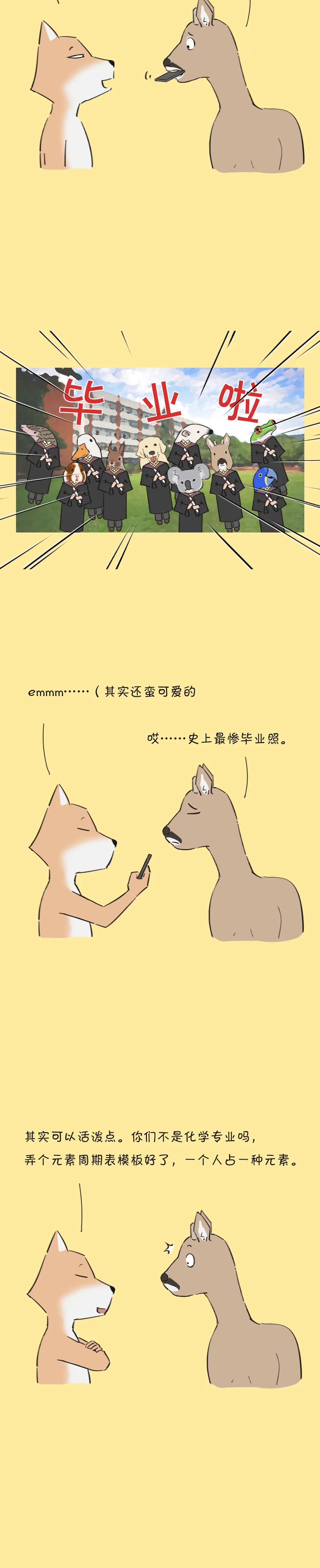 从来没想过我会这样毕业……