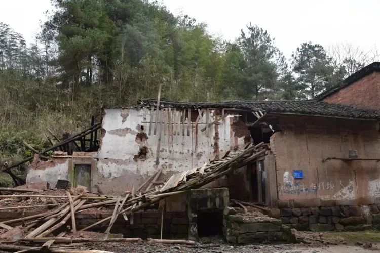 新闻早报 | 重庆今年内将基本建成主城生活垃圾分类处理系统