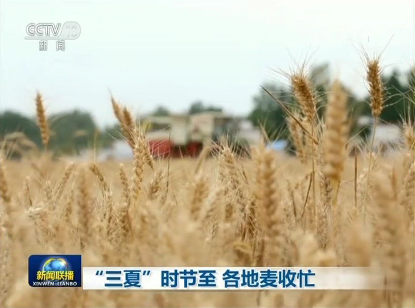 阜阳再上央视《新闻联播》!