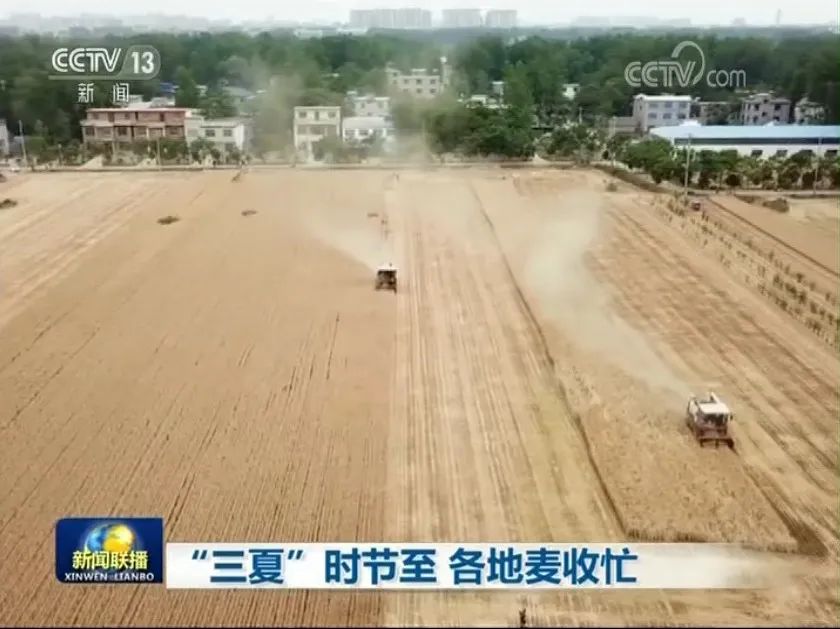 阜阳再上央视《新闻联播》!