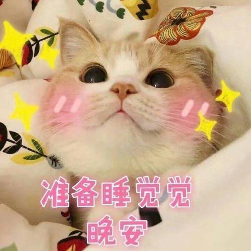 【搞笑表情包小师妹宣】特别声明:以上文章内容仅代表作者本人观点,不