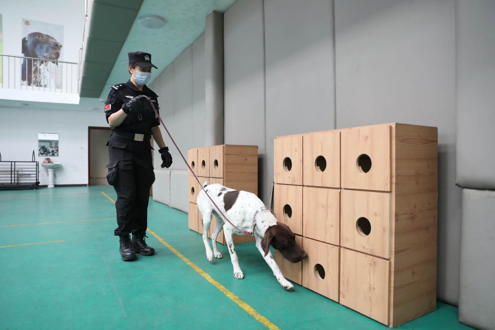 民警带领警犬在可疑物附近搜索。新京报记者 王飞 摄
