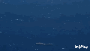 征服太空的亿万富翁背后,别人家的妈妈从未让我失望