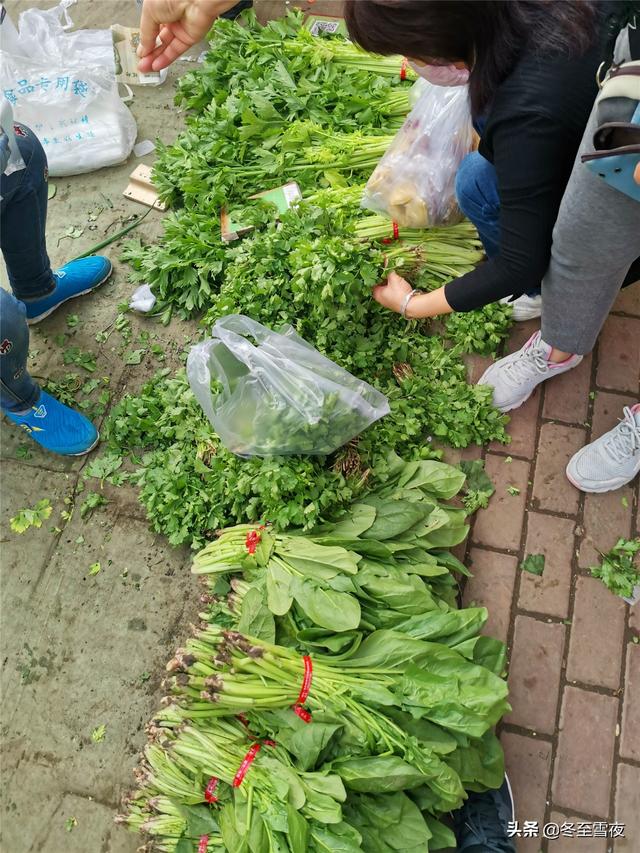 周末,带你逛东北早市,蔬菜价格便宜又新鲜,超市里买不到的都有