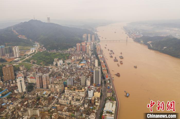 滚滚洪水围住梧州城。何汉文 摄