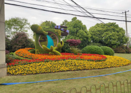 district新城公园新城公园马尼拉大草坪西南角花坛以祥云为主题图案