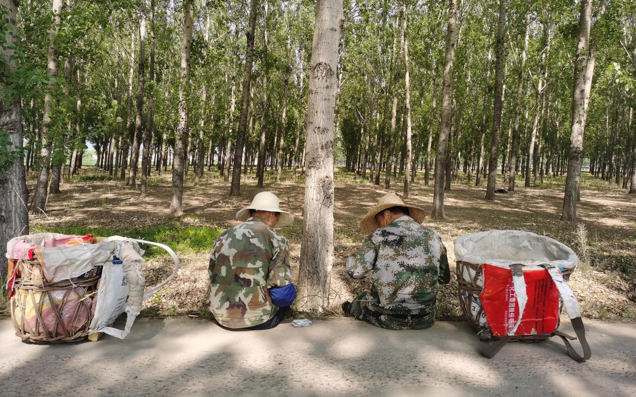 候鸟一样的职业农民 他们想看看北京什么样
