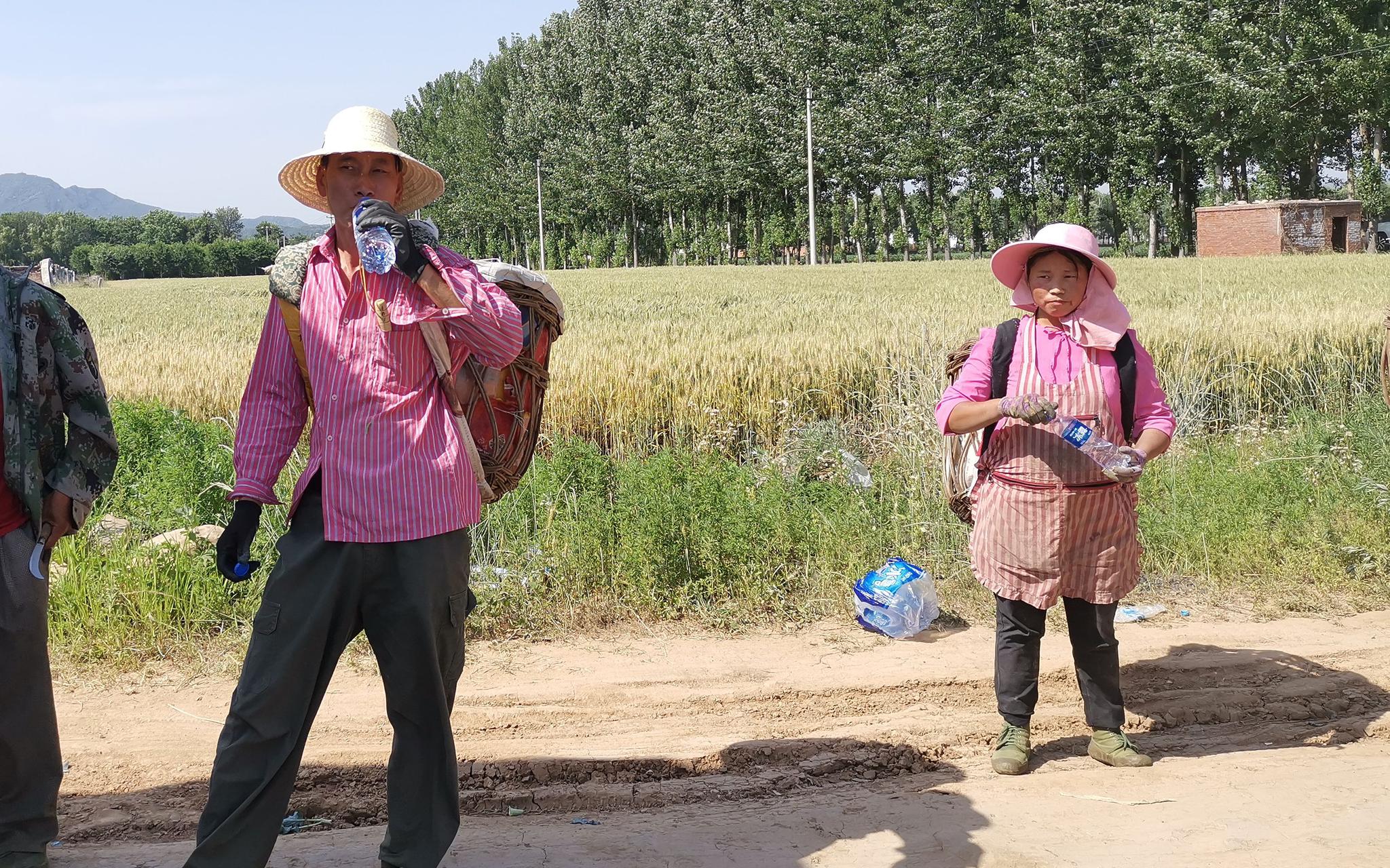 候鸟一样的职业农民 他们想看看北京什么样