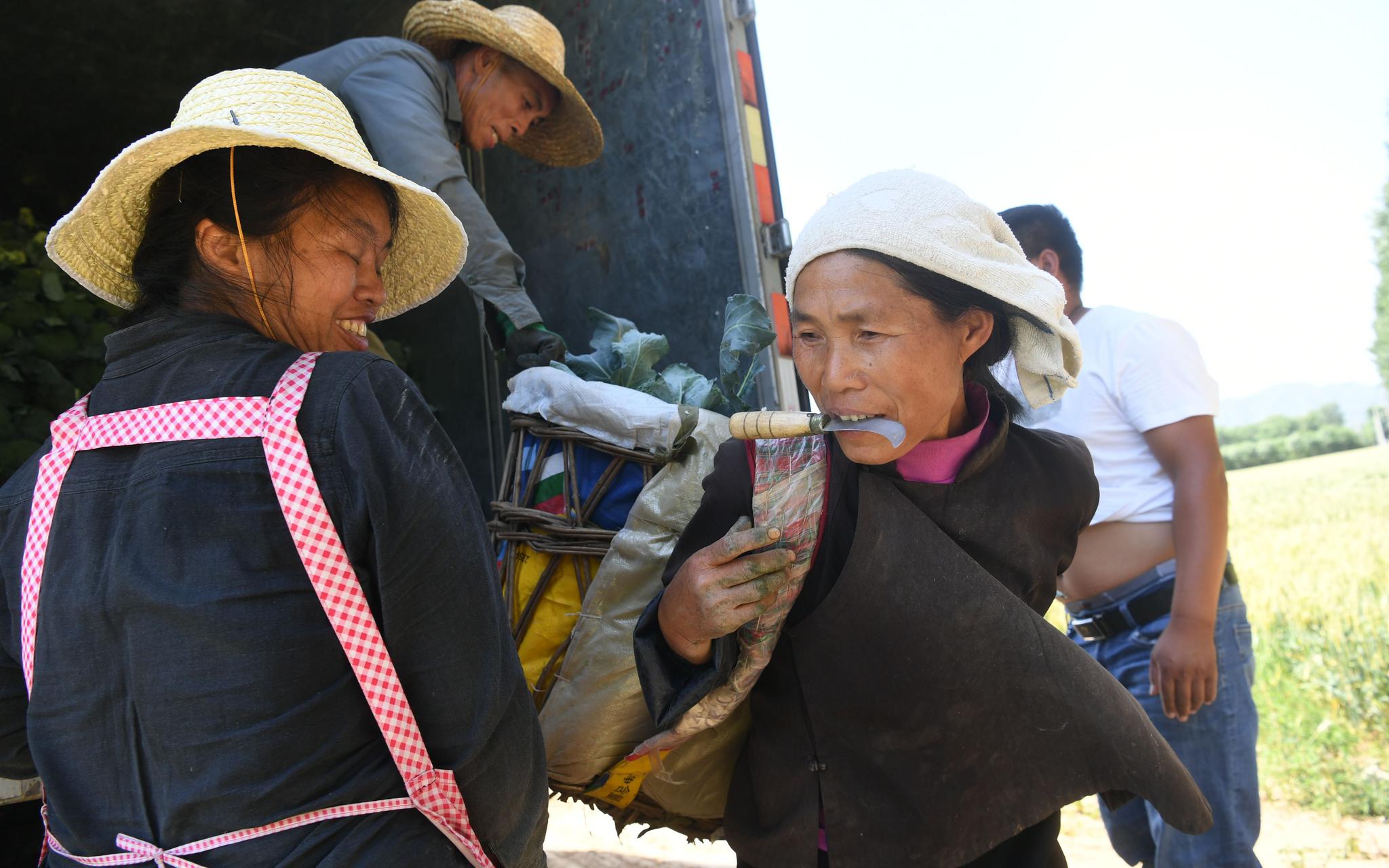 候鸟一样的职业农民 他们想看看北京什么样