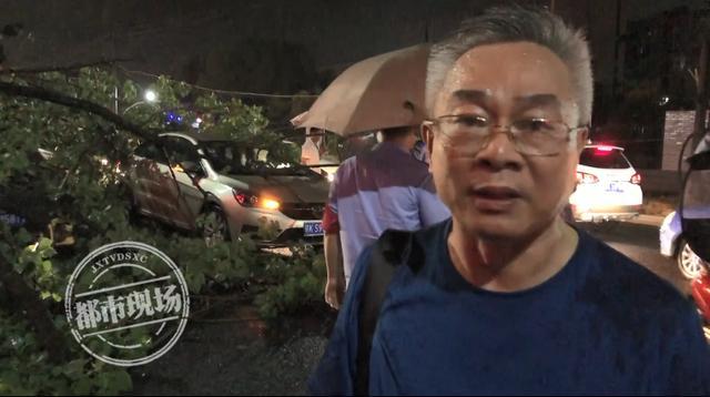 事发新余!暴雨浇倒10米高大树,3辆小车遭了殃