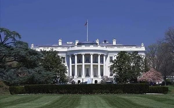 美国确诊病例超311万,枪击案频发,名校状告政府,特朗普说“我们处在很好阶段”