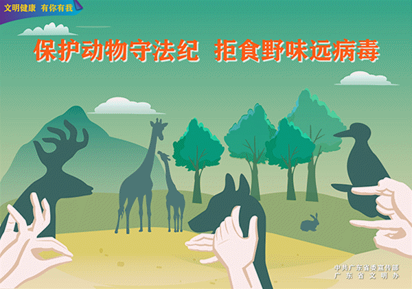 保护濒危动物!河源近一年曾拍摄到中华穿山甲活动的影像