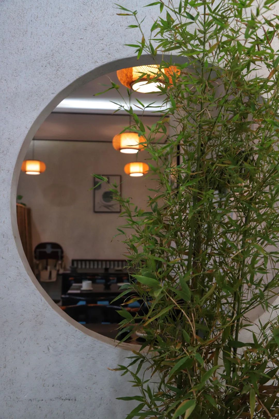 太太太香了!白堤路这家「素食餐厅」味道真绝了!野生松茸汤、三杯菌、炖椰皇、焗茄盒...人均不到20!