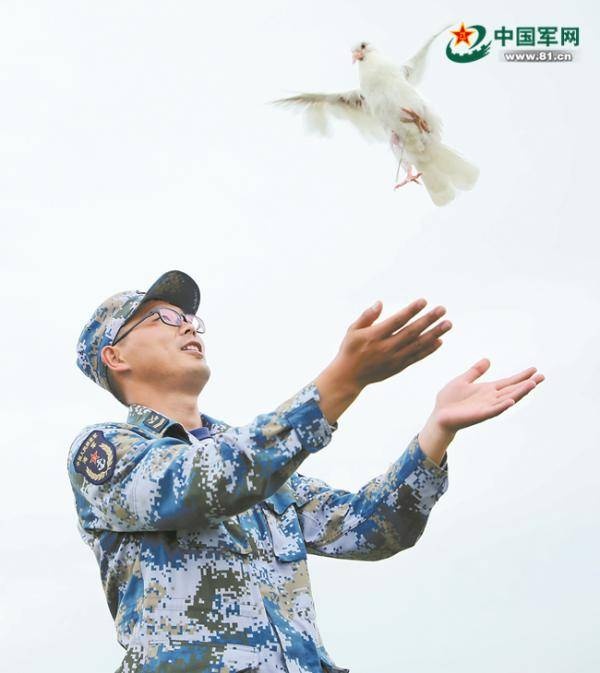 只要有飞行任务,“驱鸟兵”与鸟儿的“游击战”就不会停