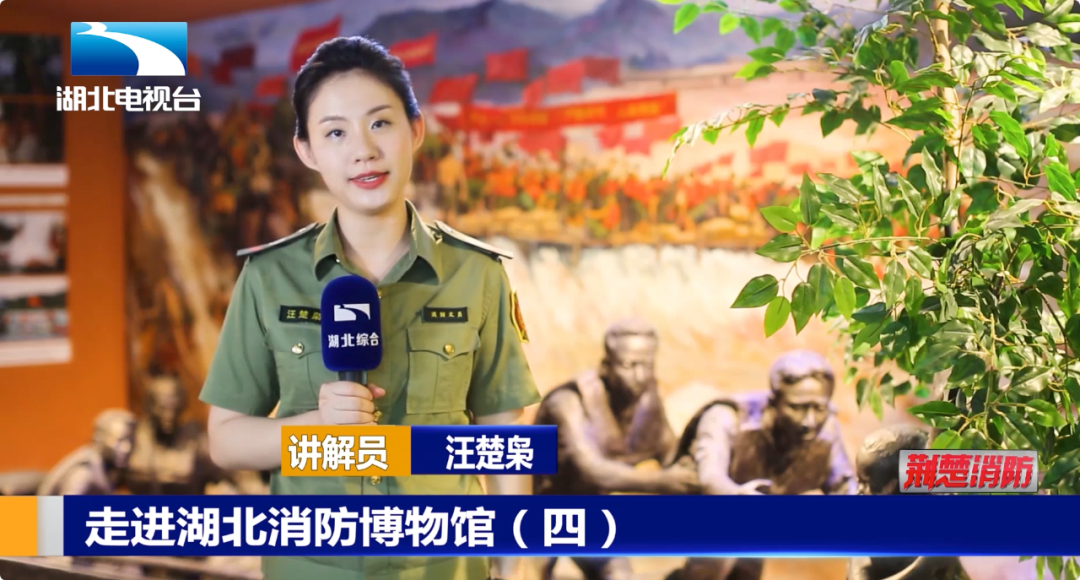 湖北省消防救援总队召开全省消防安全专项整治三年行动部署推进视频会丨荆楚消防