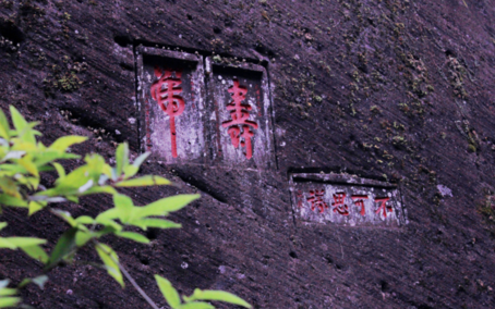 这些岩茶“功臣”,你不可不知!