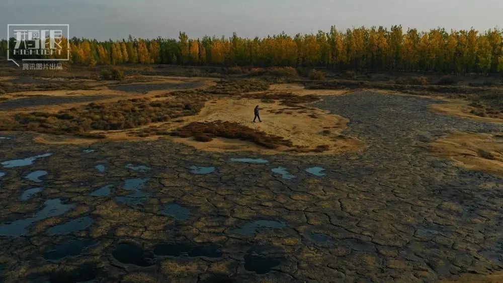 纸吸管，就是环保智商税