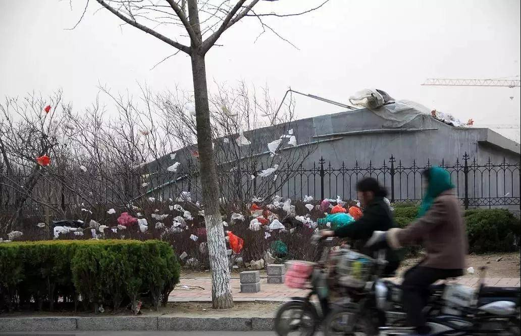 纸吸管，就是环保智商税