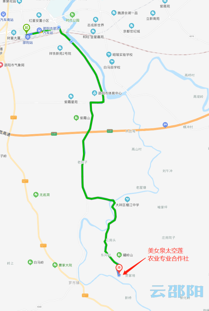 走!看荷花去!邵阳这三个地方绝对值得一去!