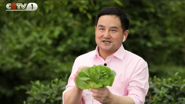 植物工厂彰显国家农业高技术水平!CCTV-1今晚十点半档,中国农业科学院智能植物工厂首席科学家杨其长开讲