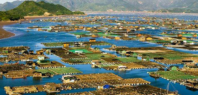 宁德这2个地方新增“国字号”荣誉!有你家乡吗?
