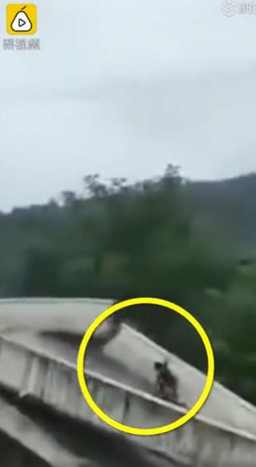 湖南一村民骑车走到一半桥被冲塌:电动车被冲走,人爬上桥面得救