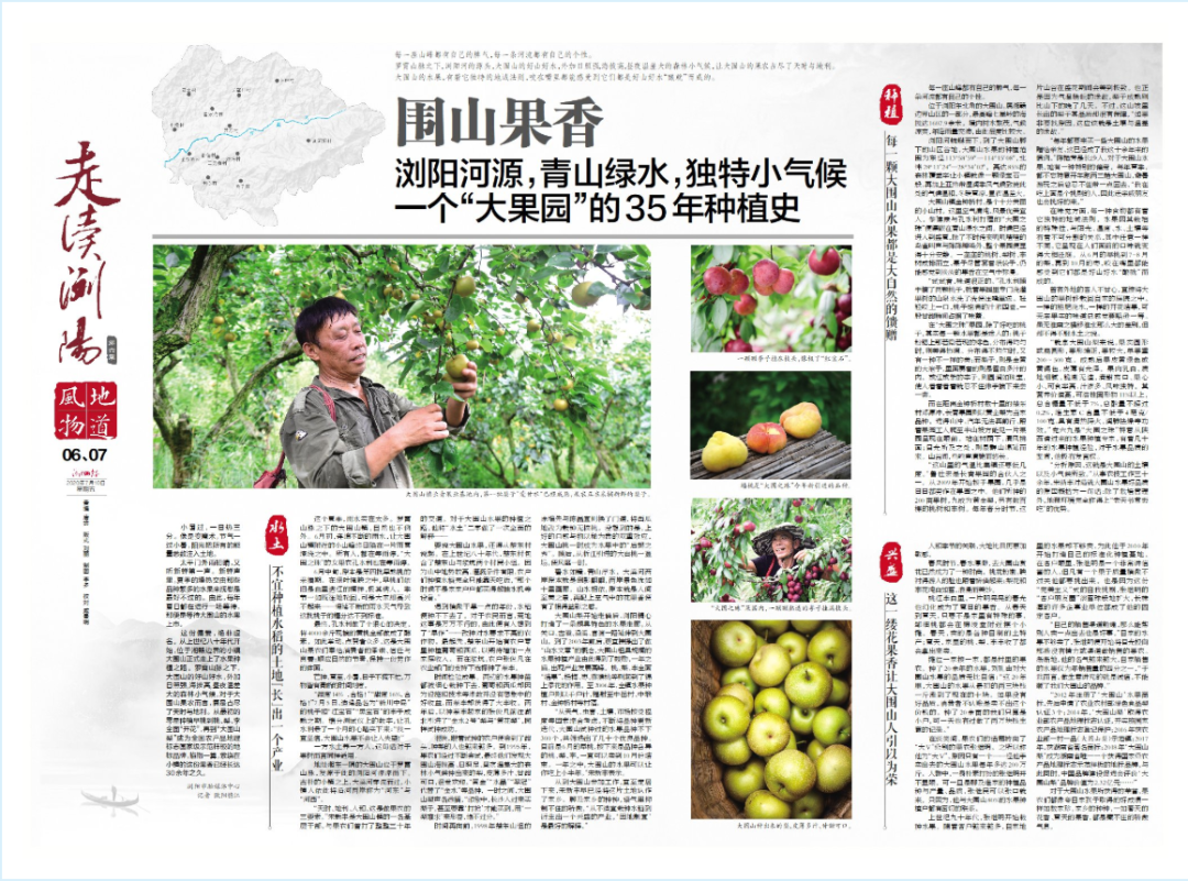 走读浏阳 浏阳河源 大围山中 一个 大果园 的种植史