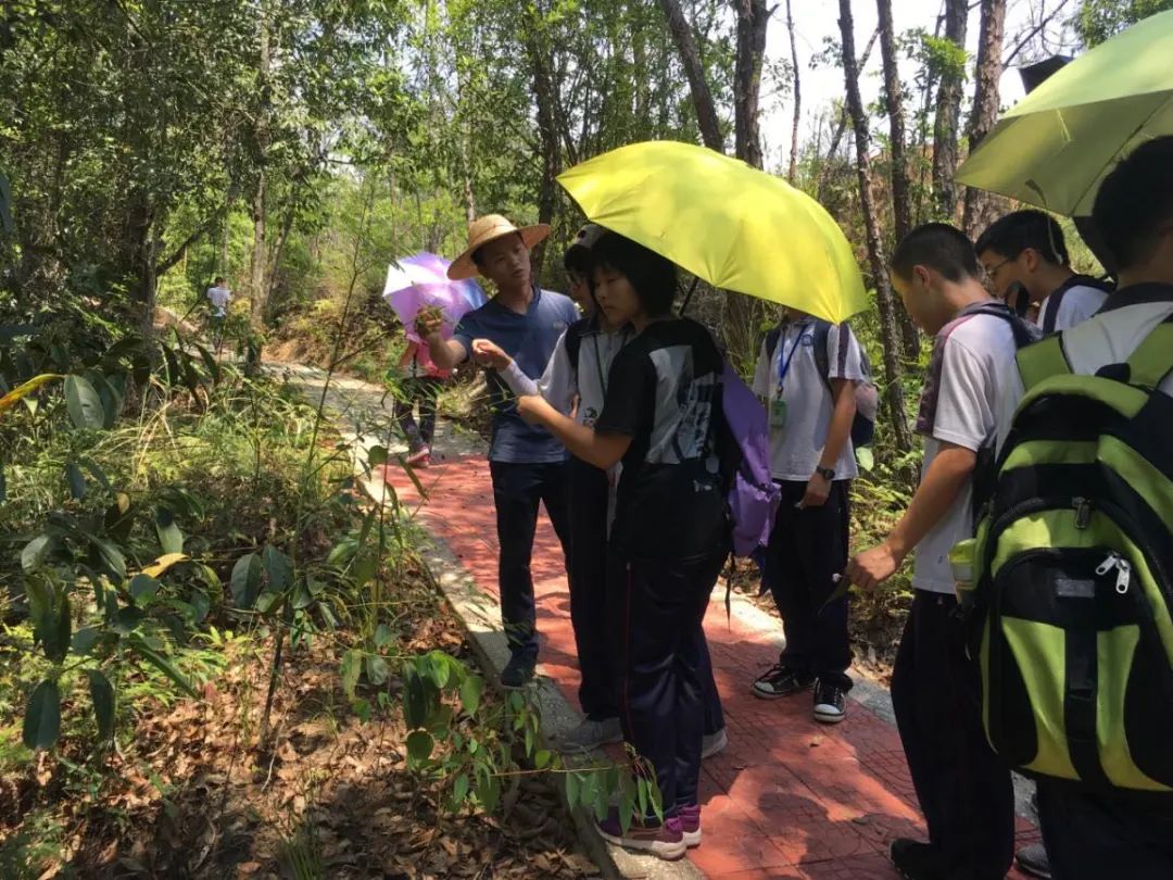 喜讯!河源市首家“广东省自然教育基地”落户这里...